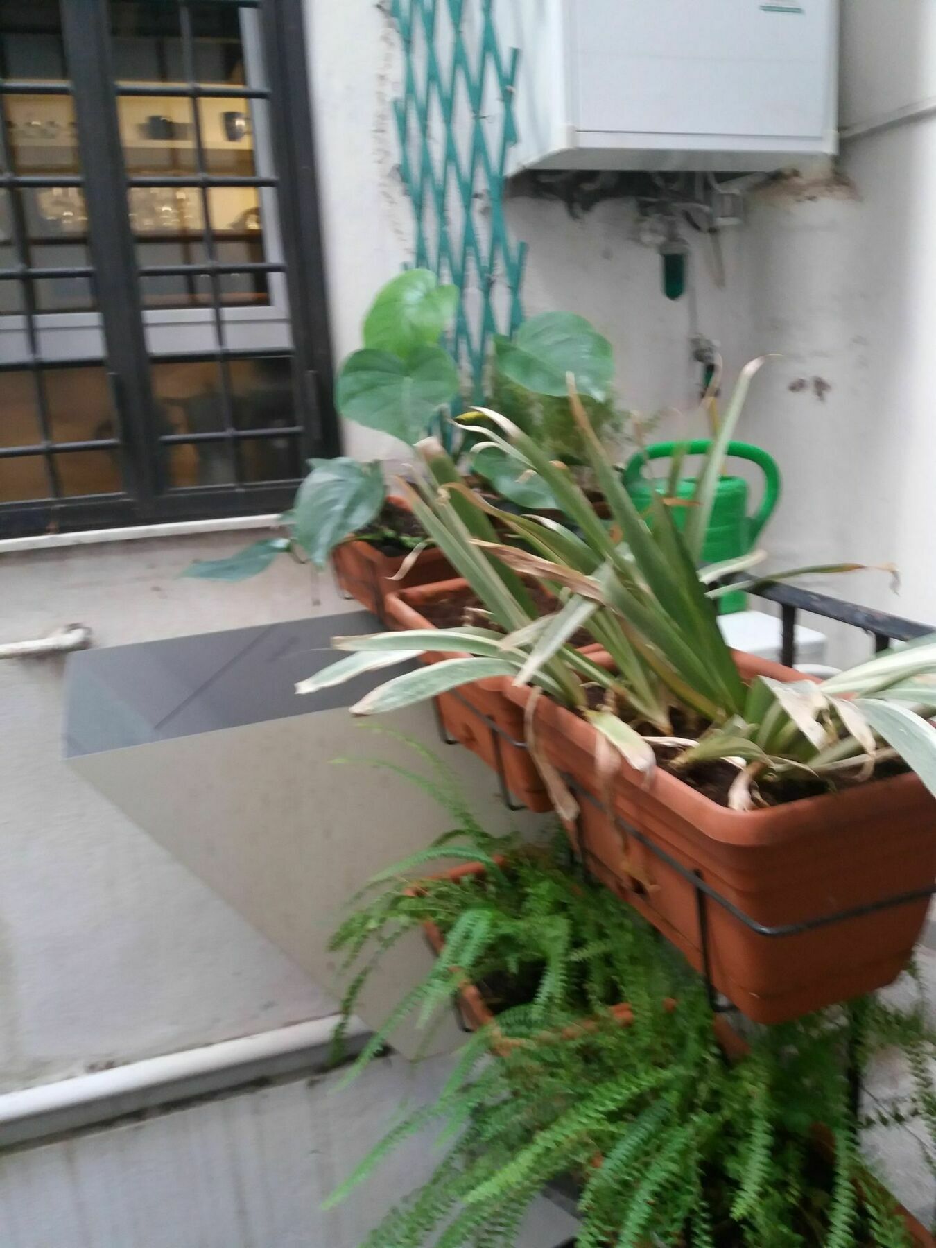 Campofiori Apartment Roma Exterior foto